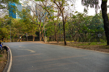 Walk pathway green tree forest city public park