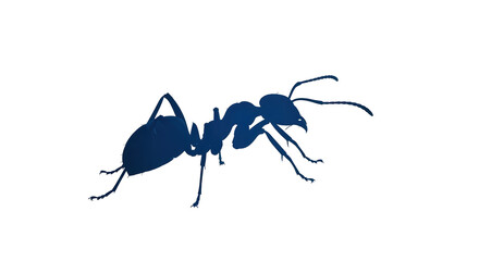 Isolated Ant Silhouette