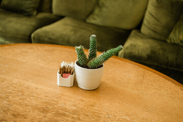 Cactus in white ceramic pot on wooden cafe table. Cozy minimalism and natural decor create a relaxing indoor environment.
