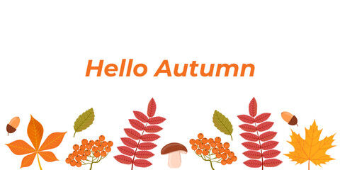 Hello autumn. Vector background with leaves and fruits.