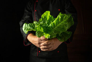 A chef stands in a dim kitchen, cradling a large bunch of fresh romaine lettuce. The vibrant green...