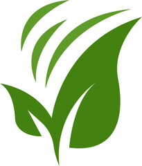 Nature Leaf Icon
