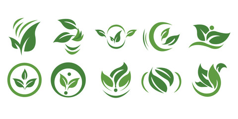 Nature Leaf Icon