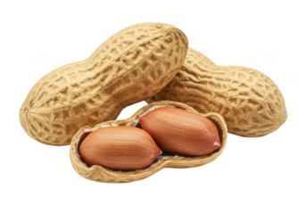 Fresh peanuts in shell close up nutritious snack food ingredient on transparent background
