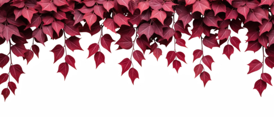 Vibrant red leaves create stunning natural border, showcasing beauty of autumn foliage. rich colors evoke warmth and tranquility