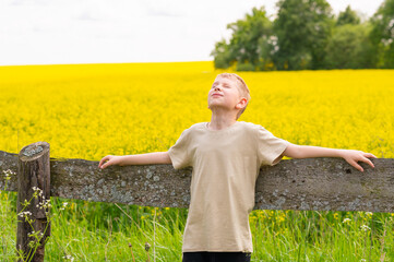 Cheerful blond boy resting by wooden fence, surrounded by green grass and a bright yellow blooming...
