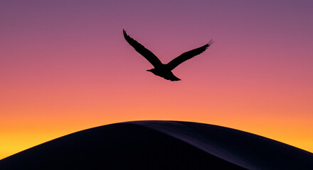 Naklejka premium Tranquil minimalist landscape featuring a bird in flight above a dune, bathed in a beautiful multi-colored sunset. 