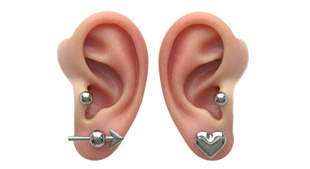 Isolated pierced ears with modern earrings