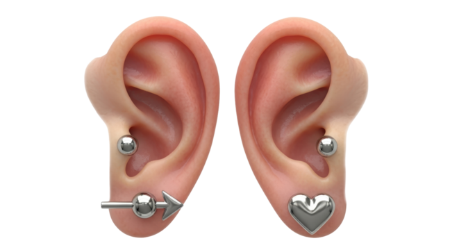 Isolated pierced ears with modern earrings