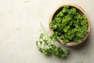 Fresh parsley in bowl on light table, top view. Space for text