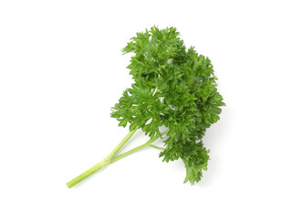 Sprig of fresh parsley isolated on white, top view