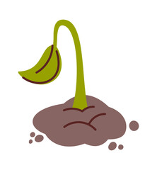 Young seedling growing from soil