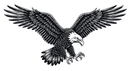 Obraz premium Intricate black and white illustration of a majestic bald eagle in flight vector illustration
