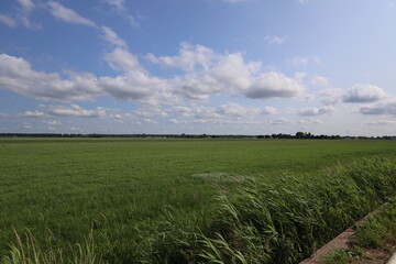Meadows, fields and roads in the Middengebied area where new village Cortelande will arise