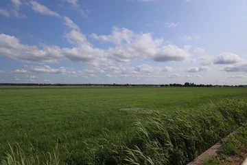 Stickers Weide Meadows, fields and roads in the Middengebied area where new village Cortelande will arise  © André Muller