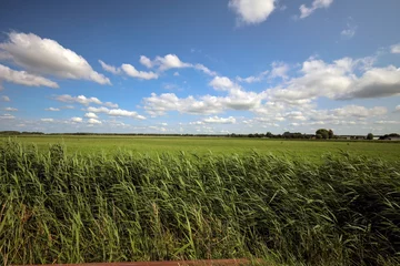 Tableau sur plexiglas Prairie, marais Meadows, fields and roads in the Middengebied area where new village Cortelande will arise  © André Muller