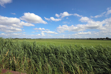 Meadows, fields and roads in the Middengebied area where new village Cortelande will arise