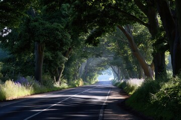Fototapeta premium Road fading into distance under canopy