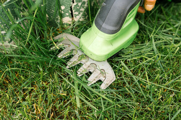 Close-up of electric grass shears cutting lawn for precise garden maintenance