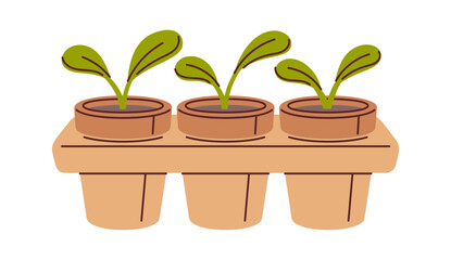 Seedling tray with potted sprouts