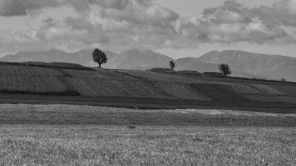 Tatry