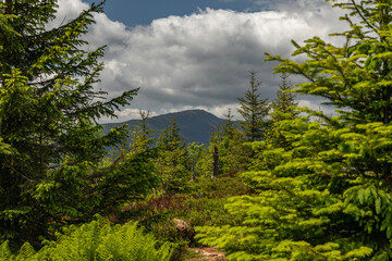Babia Góra