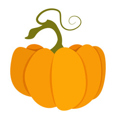 Autumn vegetables illustration. Orange pumpkin isolated on white background. Simple flat vector