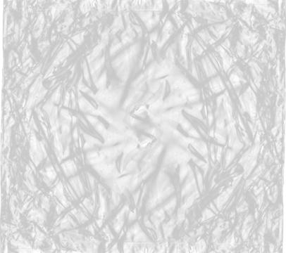 Transparent grayscale pattern with symmetrical lines and textures.