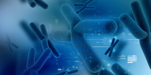 3d rendering human body chromosomes