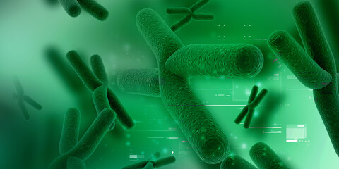 3d rendering human body chromosomes