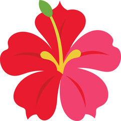 Vector illustration of a stylized hibiscus flower with transparent background