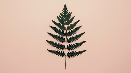 Naklejka premium A single green fern leaf is centered against a pale peach background, showcasing its detailed, symmetrical fronds.