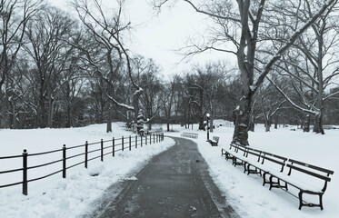 Central Park Nova York