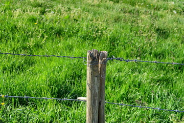 Fil de fer barbelé sur une clôture au bord d'un champ.
