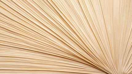 Close-up image of the open pages of a book, showing the layered edges and texture of the paper in warm, neutral tones.
