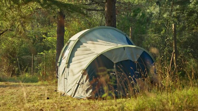 Focus change from grass and plants to camping tent in forest campsite outdoors. Sleeping in nature reserve during summer vacation or holiday. Family or couple road trip with curved modern tent design