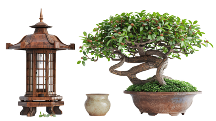 Japanese bonsai tree in pot on transparent top, small ficus ornamental plant growing well in home garden, symbolizing spring growth and serene natural beauty. PNG