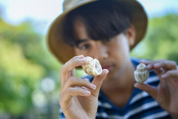 A thoughtful boy closely observes two seashells in his hands. The image reflects curiosity, learning, and a love for nature in an outdoor environment.