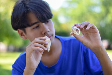 A thoughtful boy closely observes two seashells in his hands. The image reflects curiosity, learning, and a love for nature in an outdoor environment.