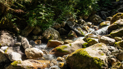 Val di Scalve, Bergamo Alpi Orobiche, Canyon sulla Via Mala, Italia