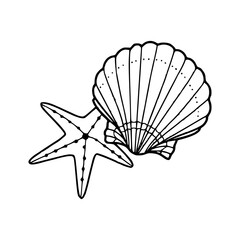 scallop shell and starfish outline