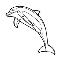 Fototapeta premium jumping dolphin outline vector