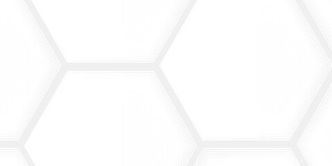 Abstract white gray background with glowing geometric lines. Modern shiny gray hexagon lines pattern. Technology futuristic concept. Suit for poster, banner, brochure, cover, flyer. Eps10