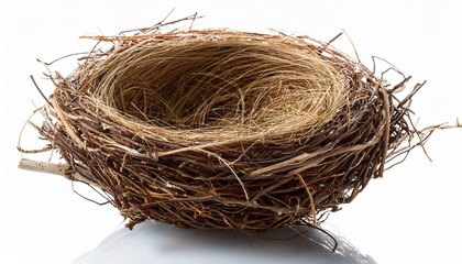 close up of an empty bird nest on transparent background