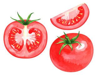 watercolor illustration of a red tomato isolated