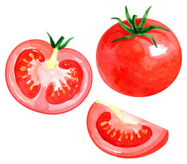 watercolor illustration of a red tomato isolated