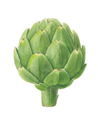 Obraz premium Watercolor Illustration of a Fresh Green Artichoke