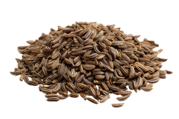 Pile of Aromatic Fennel Seeds on Transparent Background