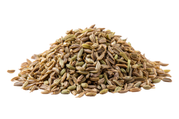 Pile of Aromatic Fennel Seeds on Transparent Background
