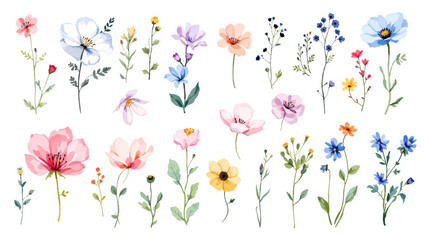 seamless background with flowers, Set watrecolor floral background with flowers